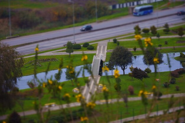 car-road-against-trees_1048944-16791754 car-road-against-trees_1048944-16791754