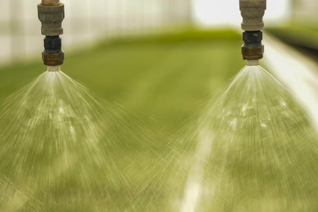 close-up-sprinkler-field_1048944-11953938 close-up-sprinkler-field_1048944-11953938